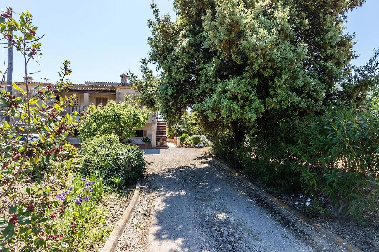 Panada Villa Pollenca