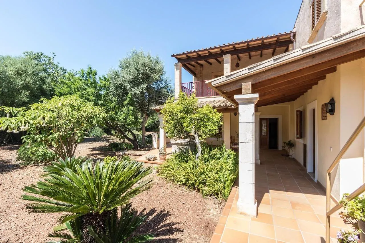 Panada Villa Pollenca